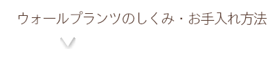 ラルタンについて